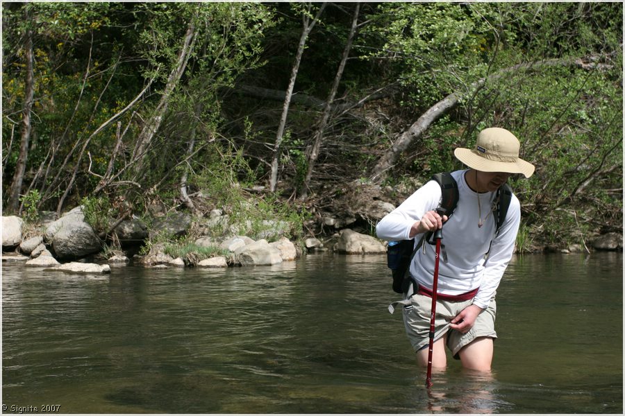 Click to view next image