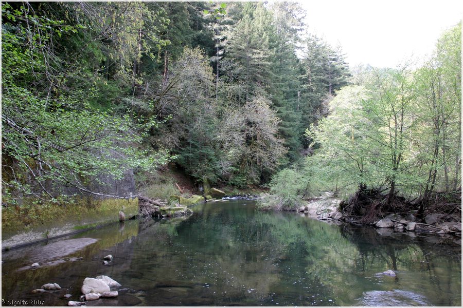 Click to view next image