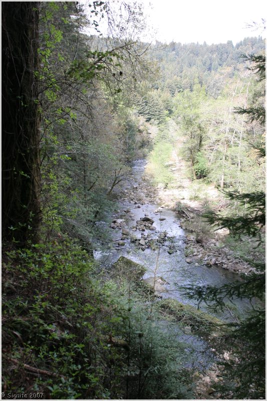 Click to view next image