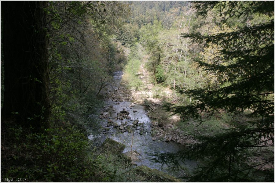 Click to view next image