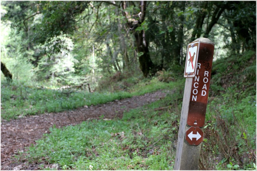 Click to view next image