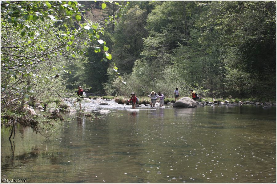 Click to view next image