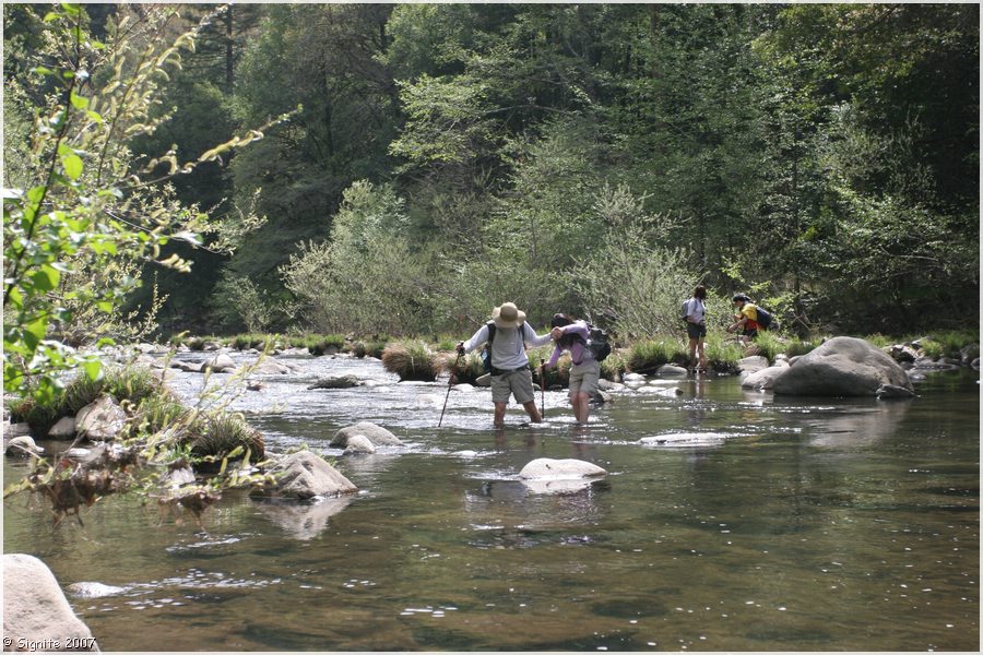 Click to view next image