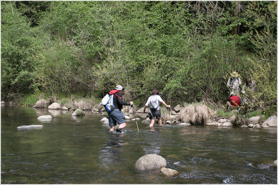 Click to view next image