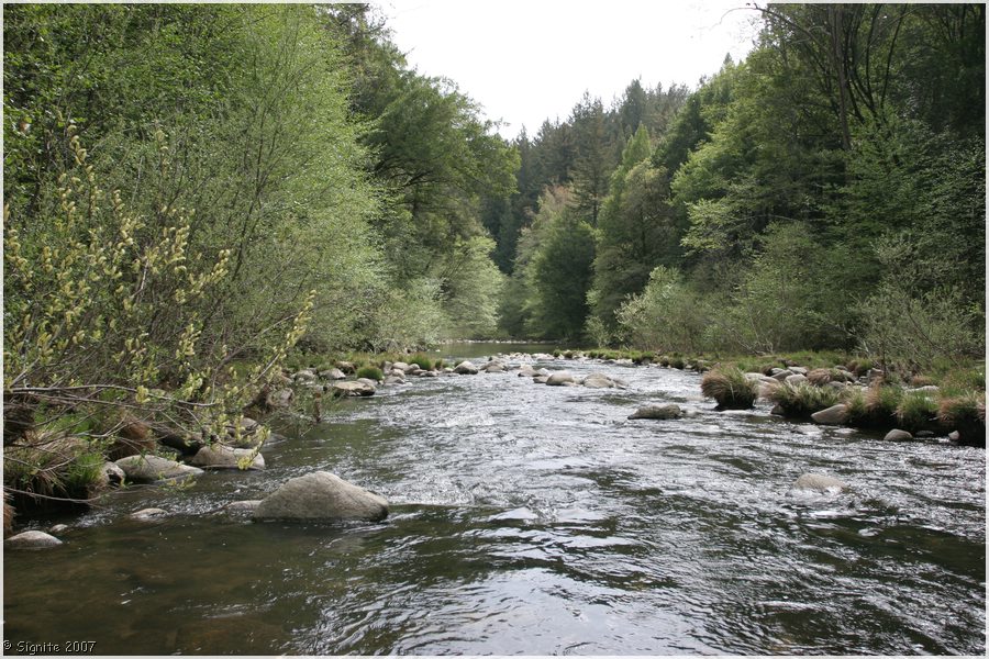 Click to view next image