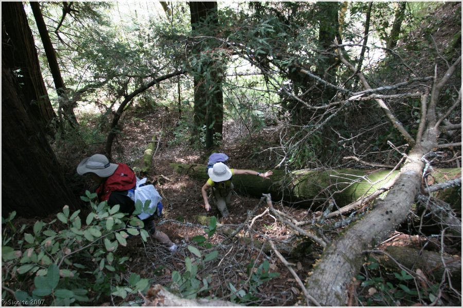 Click to view next image