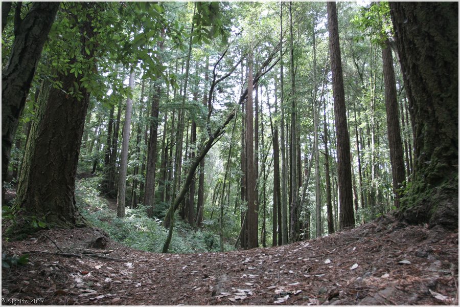 Click to view next image