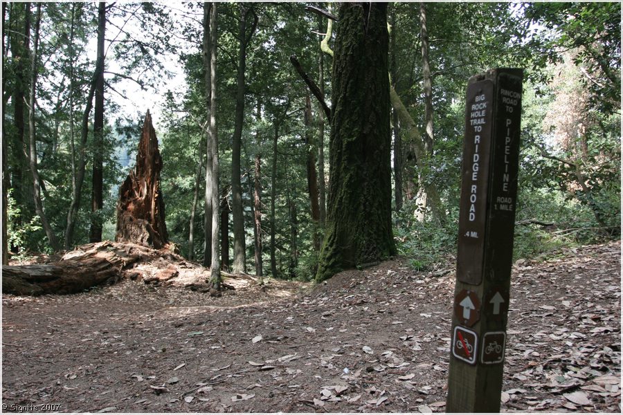 Click to view next image