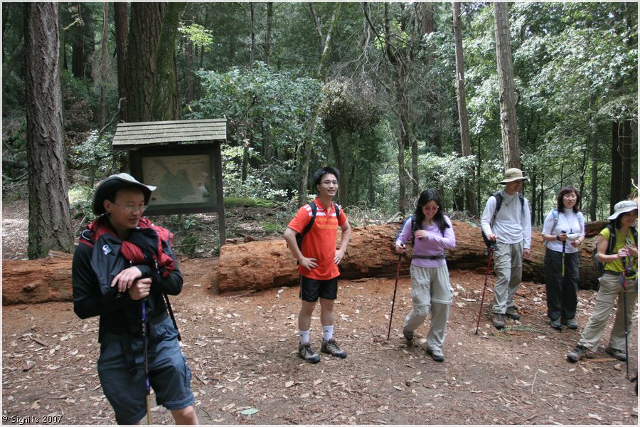 Click to view next image