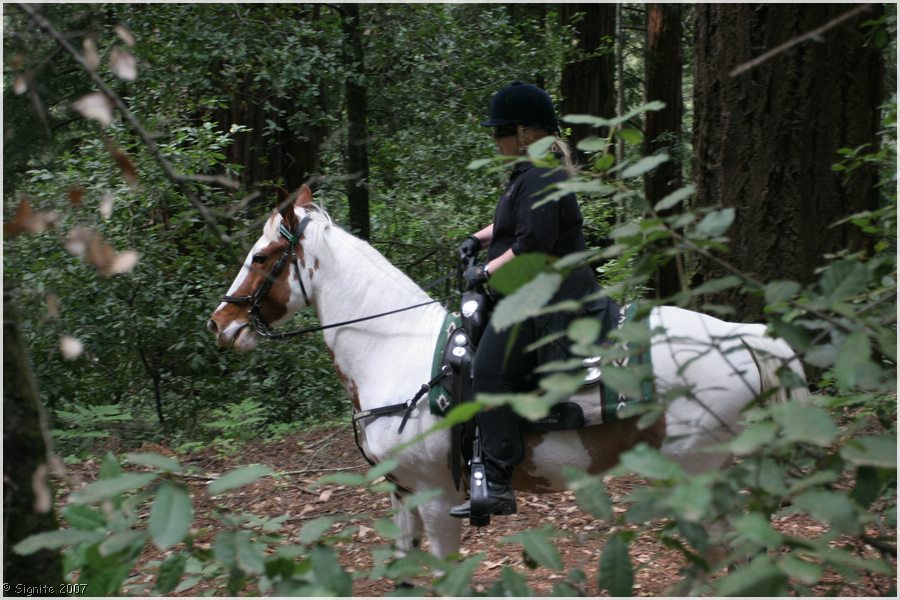 Click to view next image