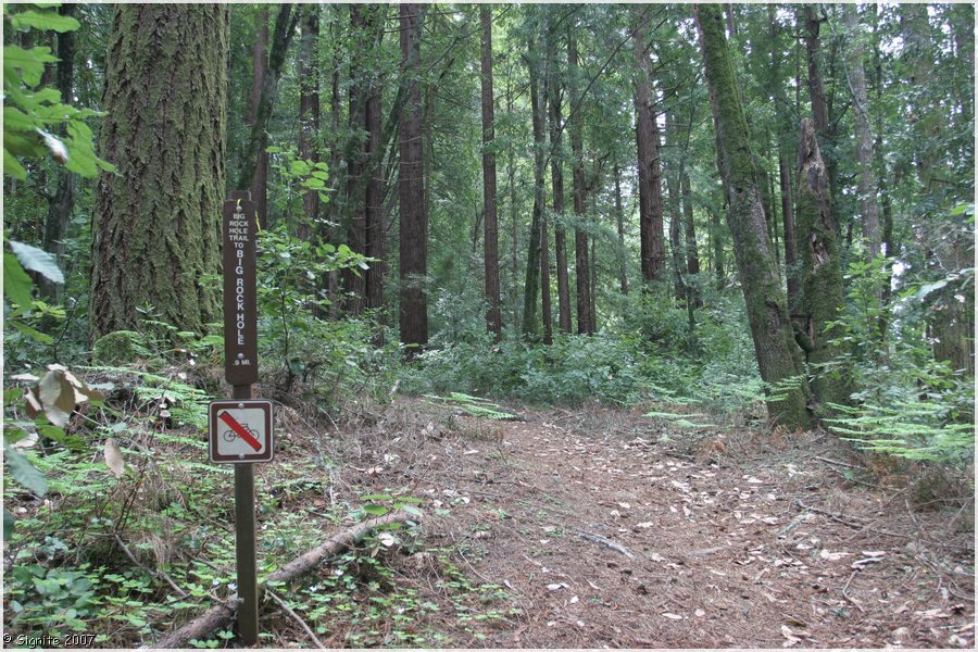 Click to view next image