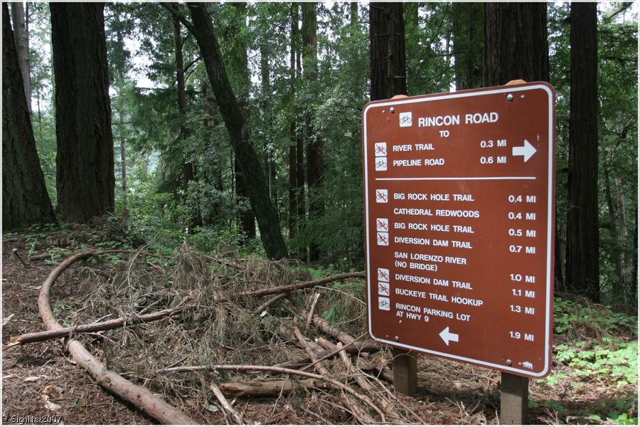 Click to view next image