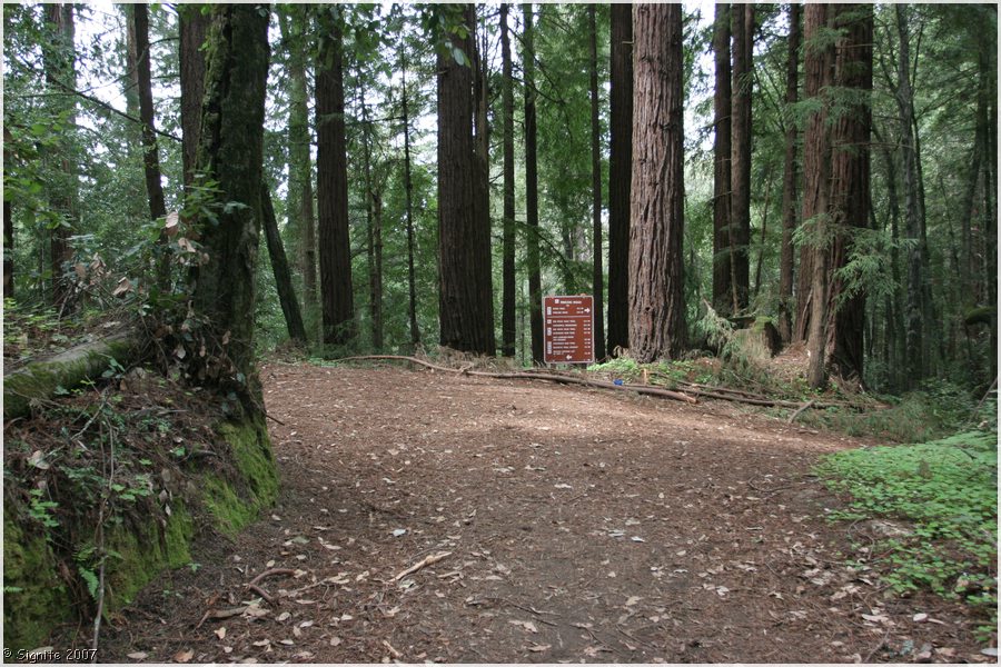 Click to view next image