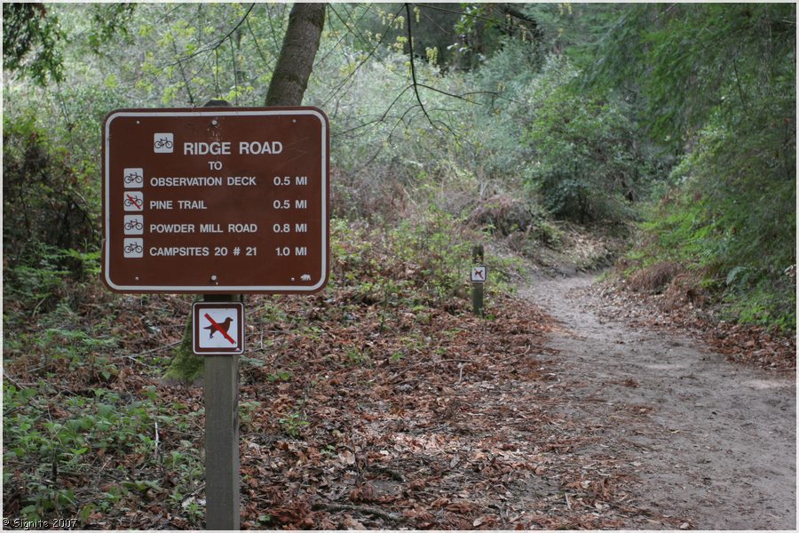 Click to view next image