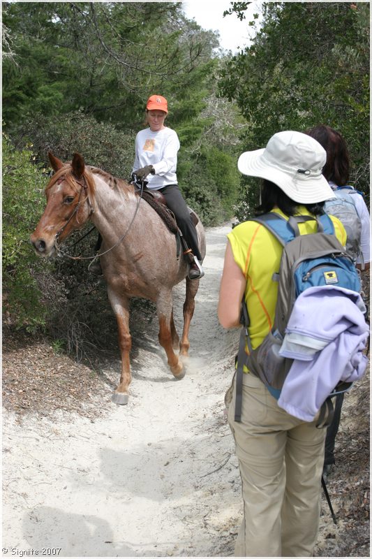 Click to view next image