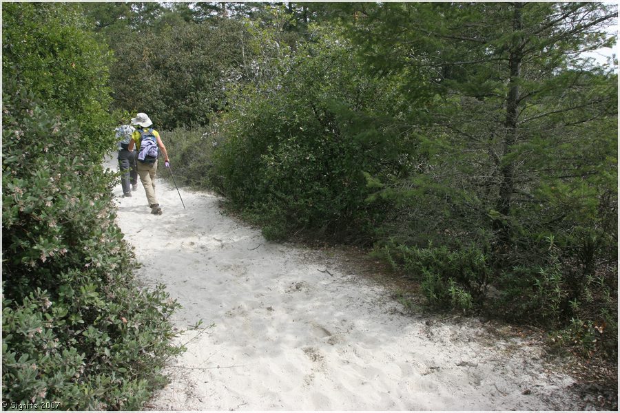 Click to view next image