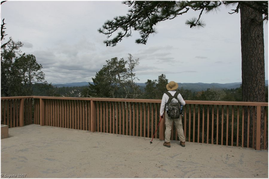 Click to view next image