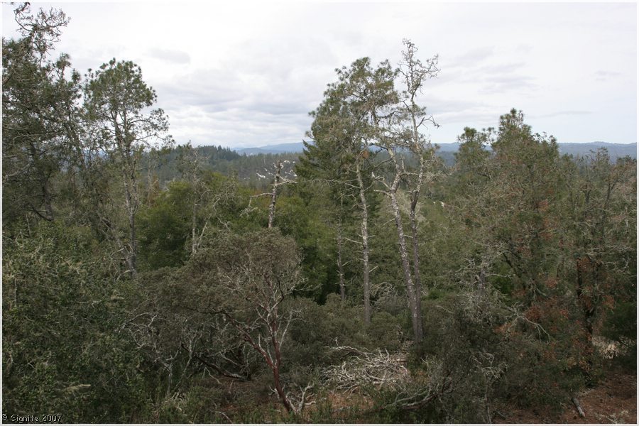 Click to view next image