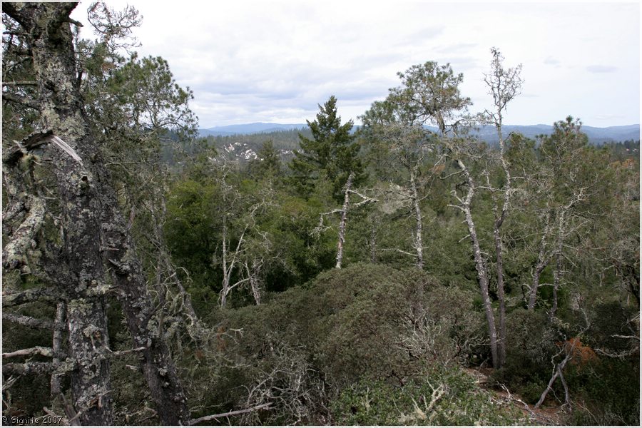 Click to view next image