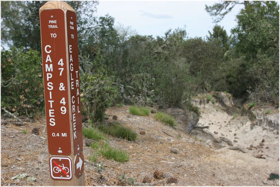 Click to view next image