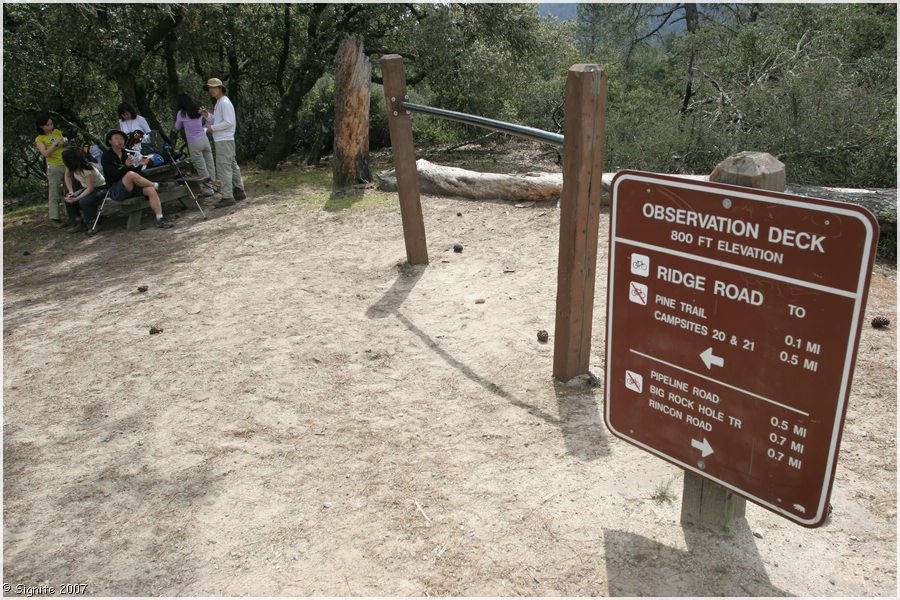 Click to view next image