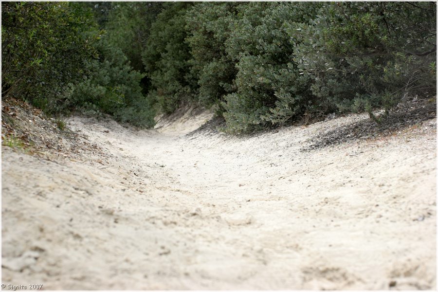 Click to view next image