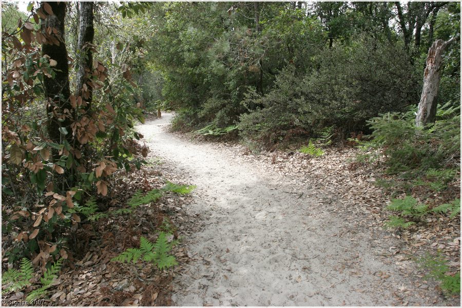 Click to view next image