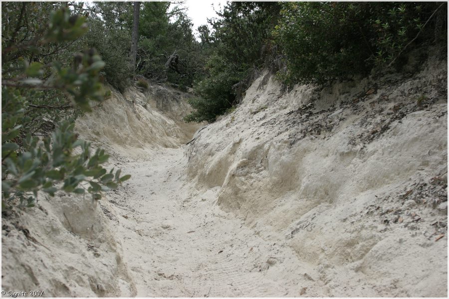 Click to view next image