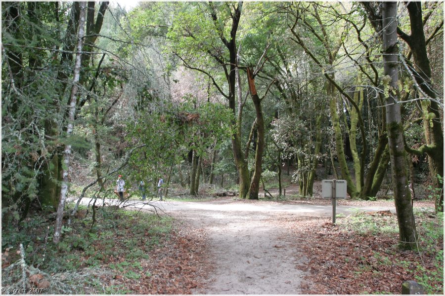 Click to view next image