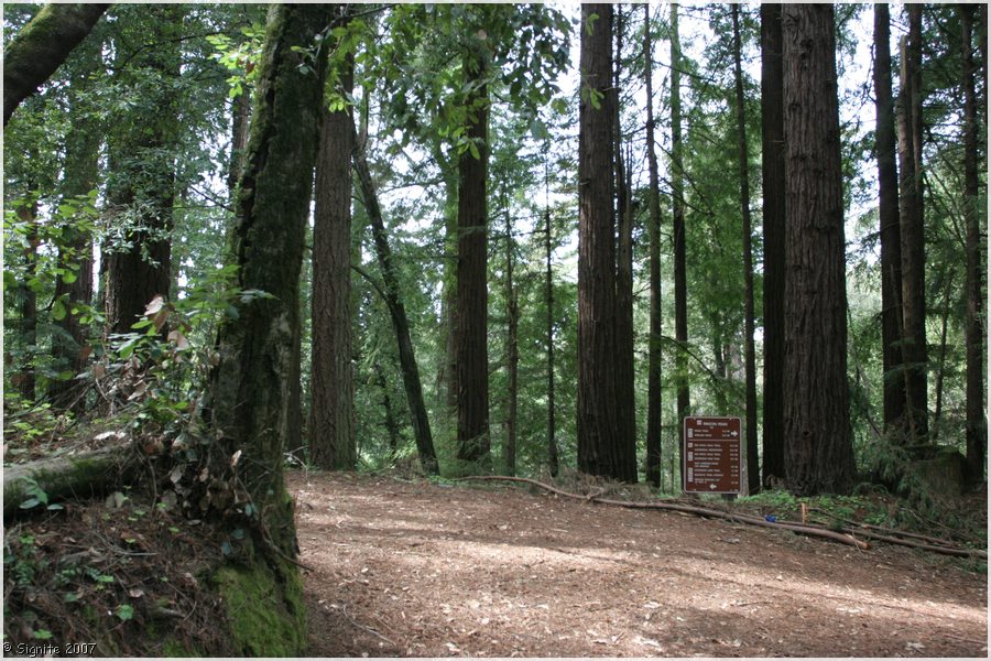 Click to view next image