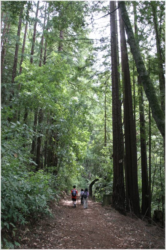 Click to view next image