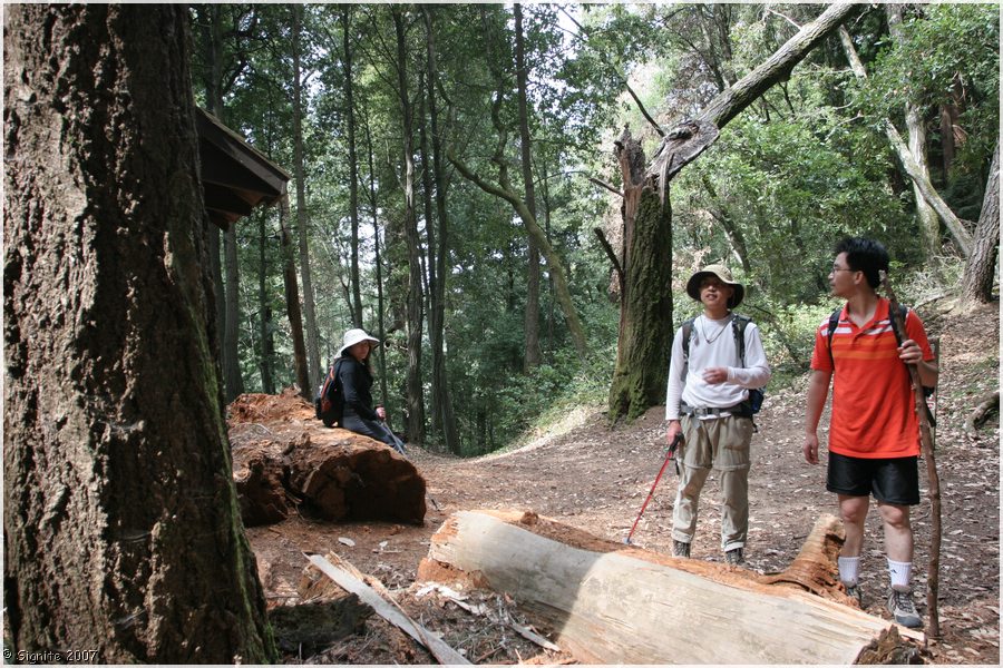 Click to view next image