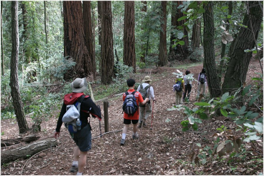 Click to view next image