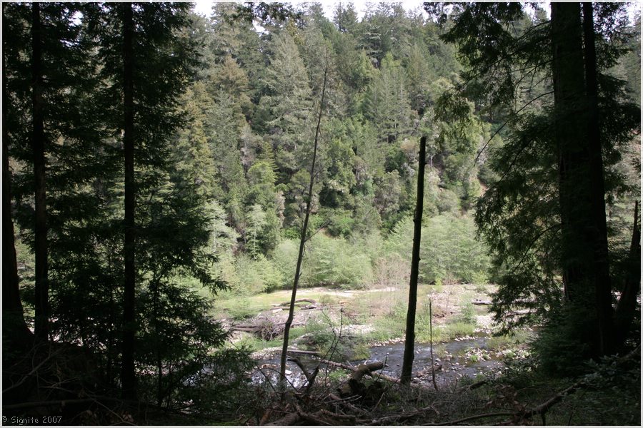 Click to view next image