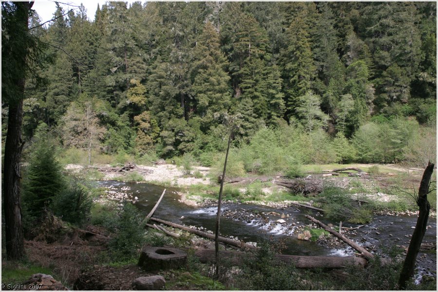 Click to view next image