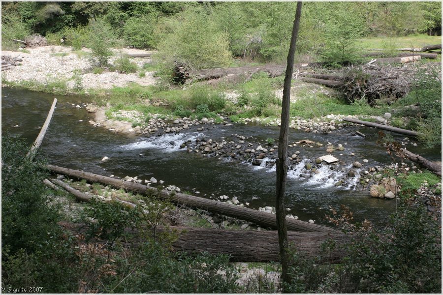 Click to view next image