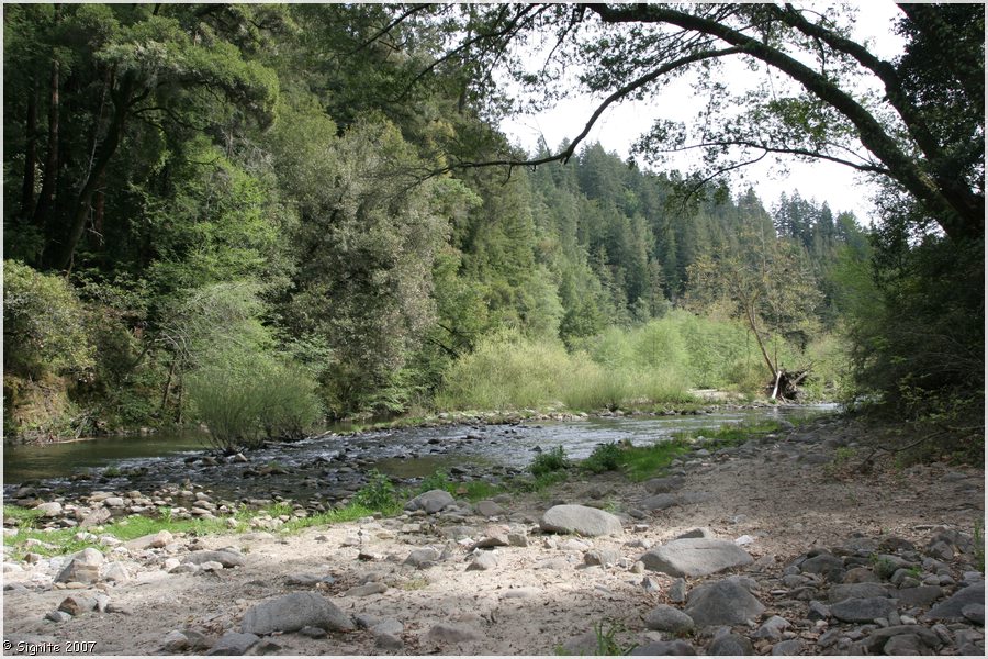 Click to view next image