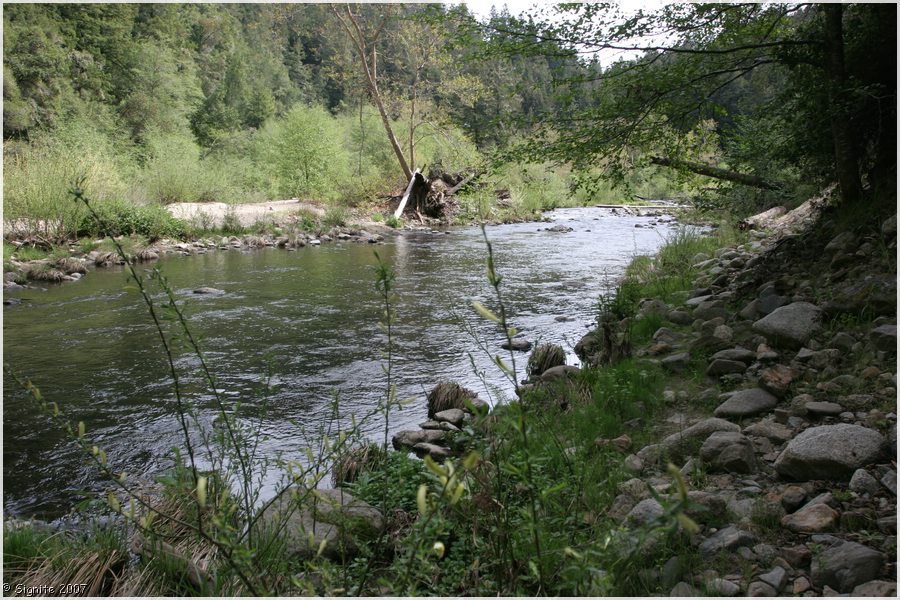 Click to view next image