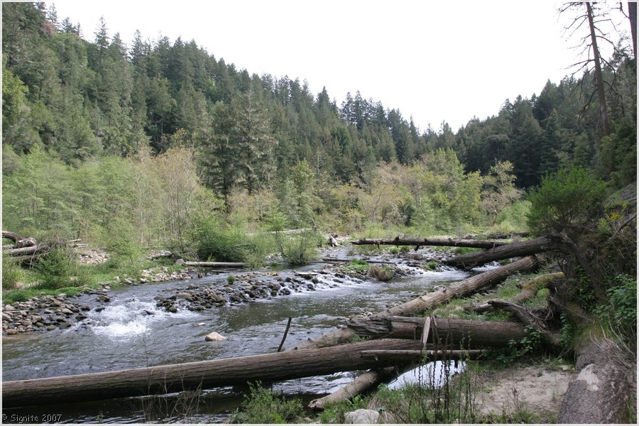 Click to view next image