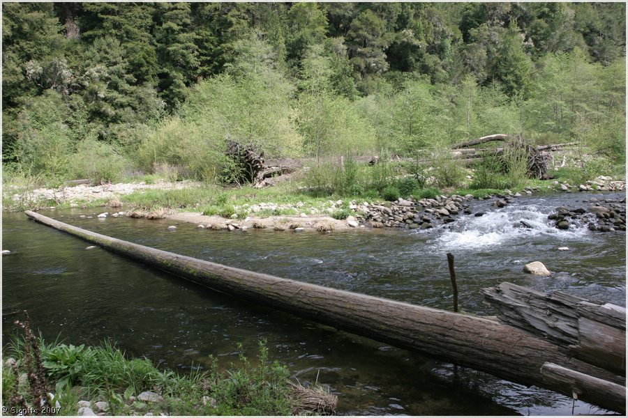 Click to view next image