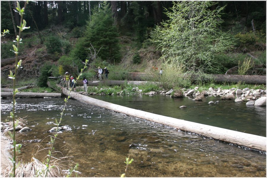 Click to view next image