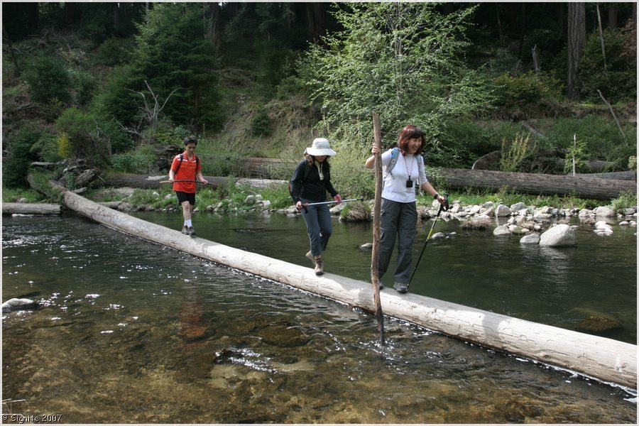 Click to view next image