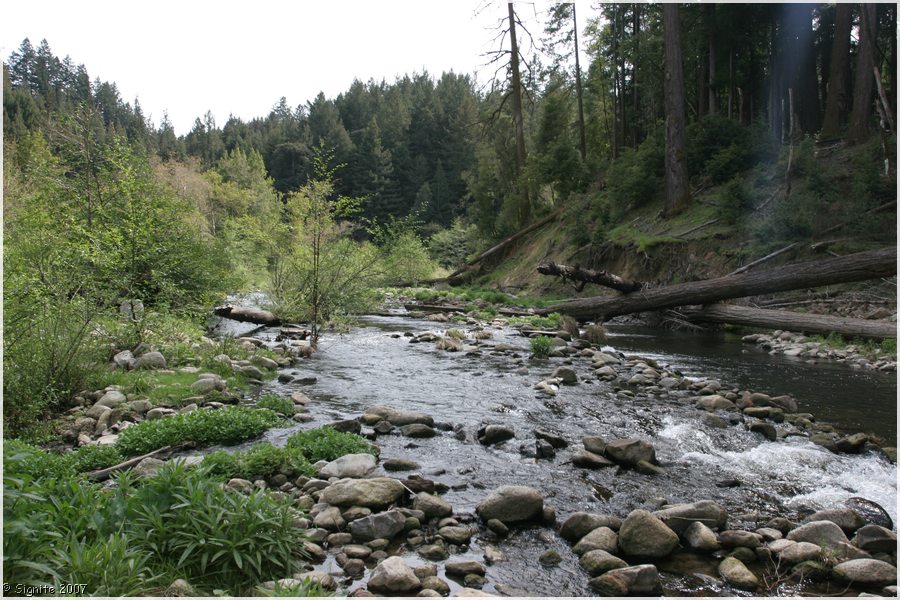 Click to view next image