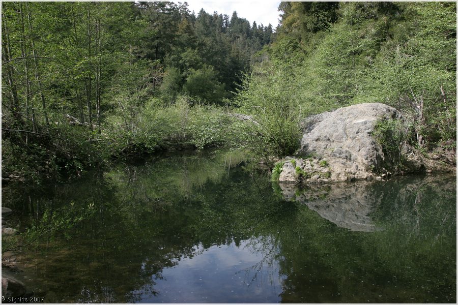 Click to view next image