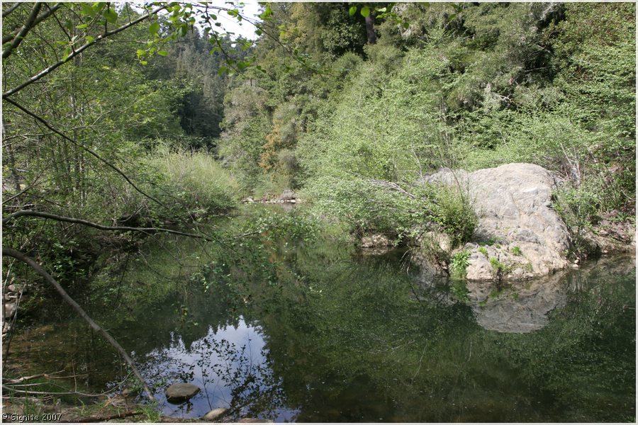 Click to view next image