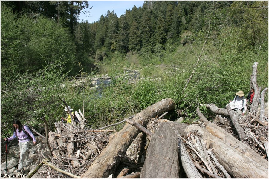 Click to view next image