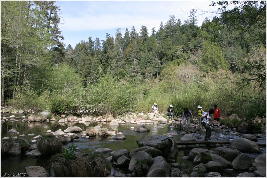 Click to view next image