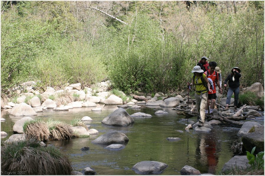 Click to view next image