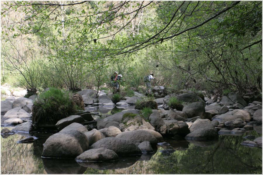 Click to view next image