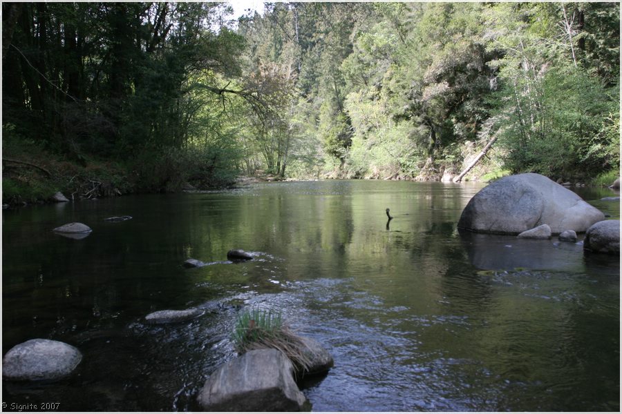 Click to view next image